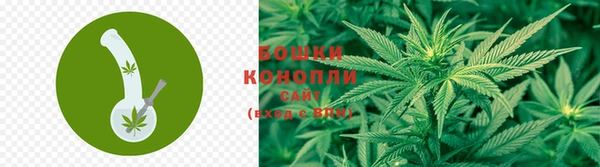 Альфа ПВП Зеленокумск